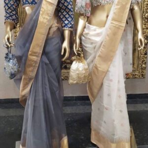 Sari Suit